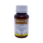 quorum sc