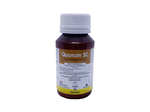quorum sc